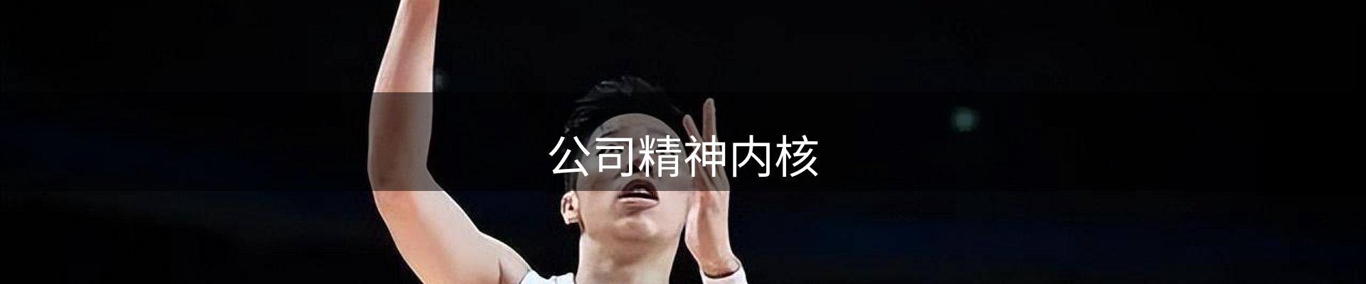 公司精神内核