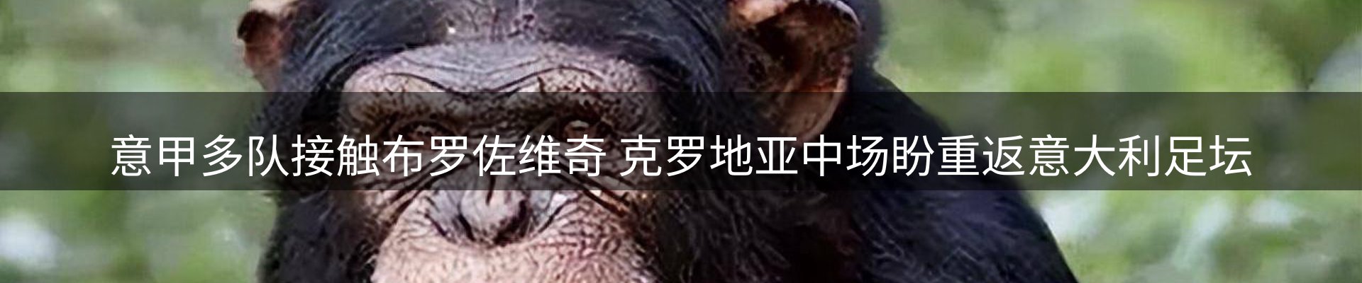 新闻焦点