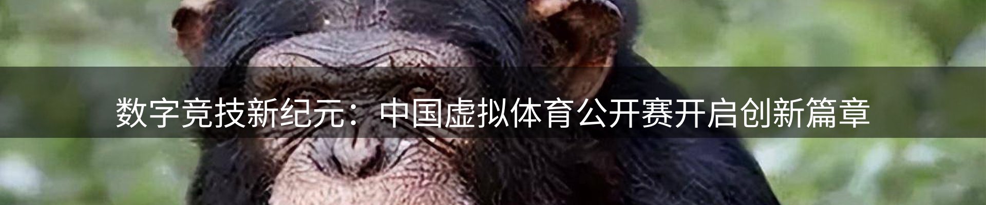 新闻焦点
